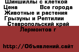 Шиншиллы с клеткой › Цена ­ 8 000 - Все города Животные и растения » Грызуны и Рептилии   . Ставропольский край,Лермонтов г.